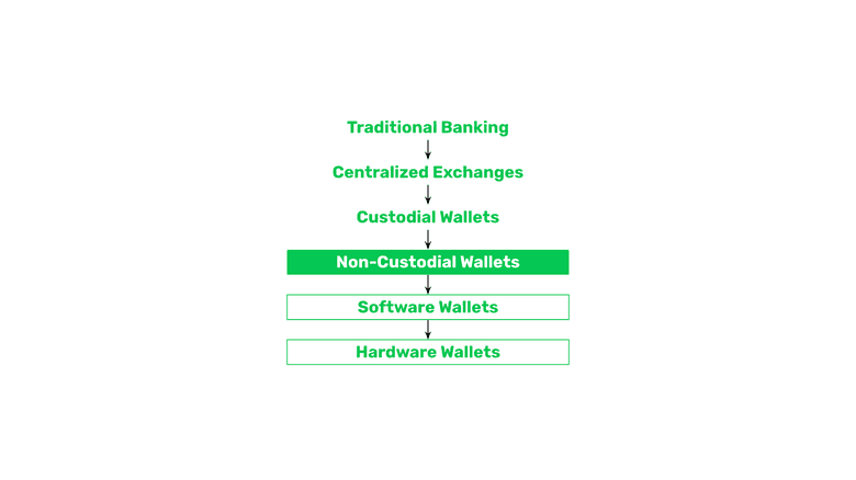 Types of non-custodial wallets.