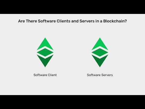 Are There Software Clients and Servers in a Blockchain?