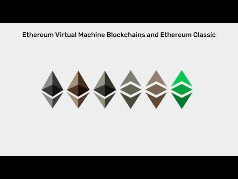 Ethereum Virtual Machine Blockchains and Ethereum Classic