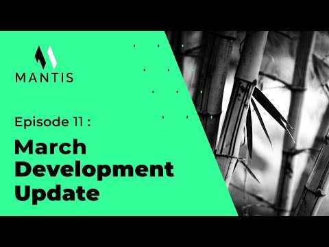 Ethereum Classic - Mantis: IOHK Development Update #11 - March 2021