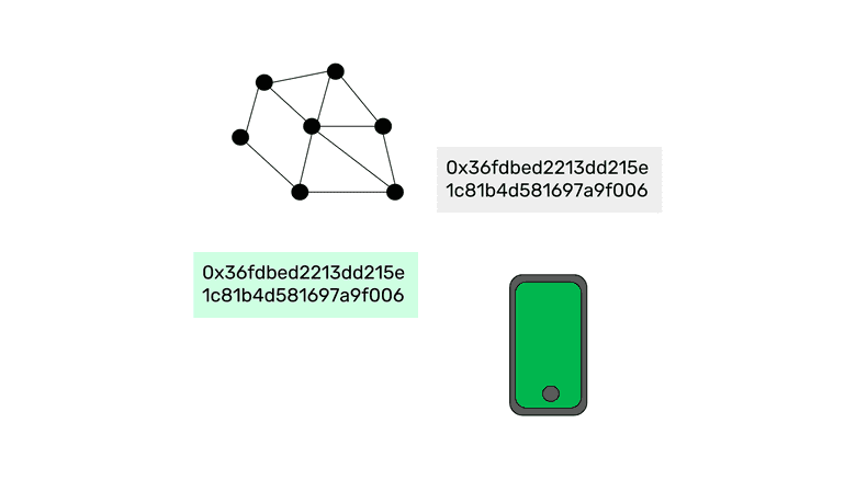 Blockchains, accounts, addresses, and wallets.